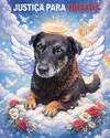 Justice For Orelha