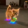 Monedero de Glowcat
