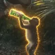 Drunk Monkey 钱包