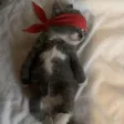 The Roaring Kitty 钱包