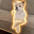 Dompet The Chill Dog