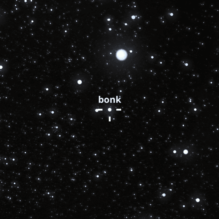 BONKSTAR