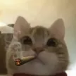 Jeff 钱包