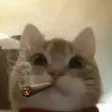 Jeffウォレット