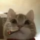 JEFF