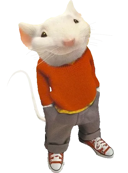 STUART