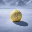 The Protagonist Fruit Wallet