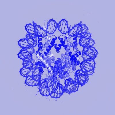 Clarity Protocol 钱包