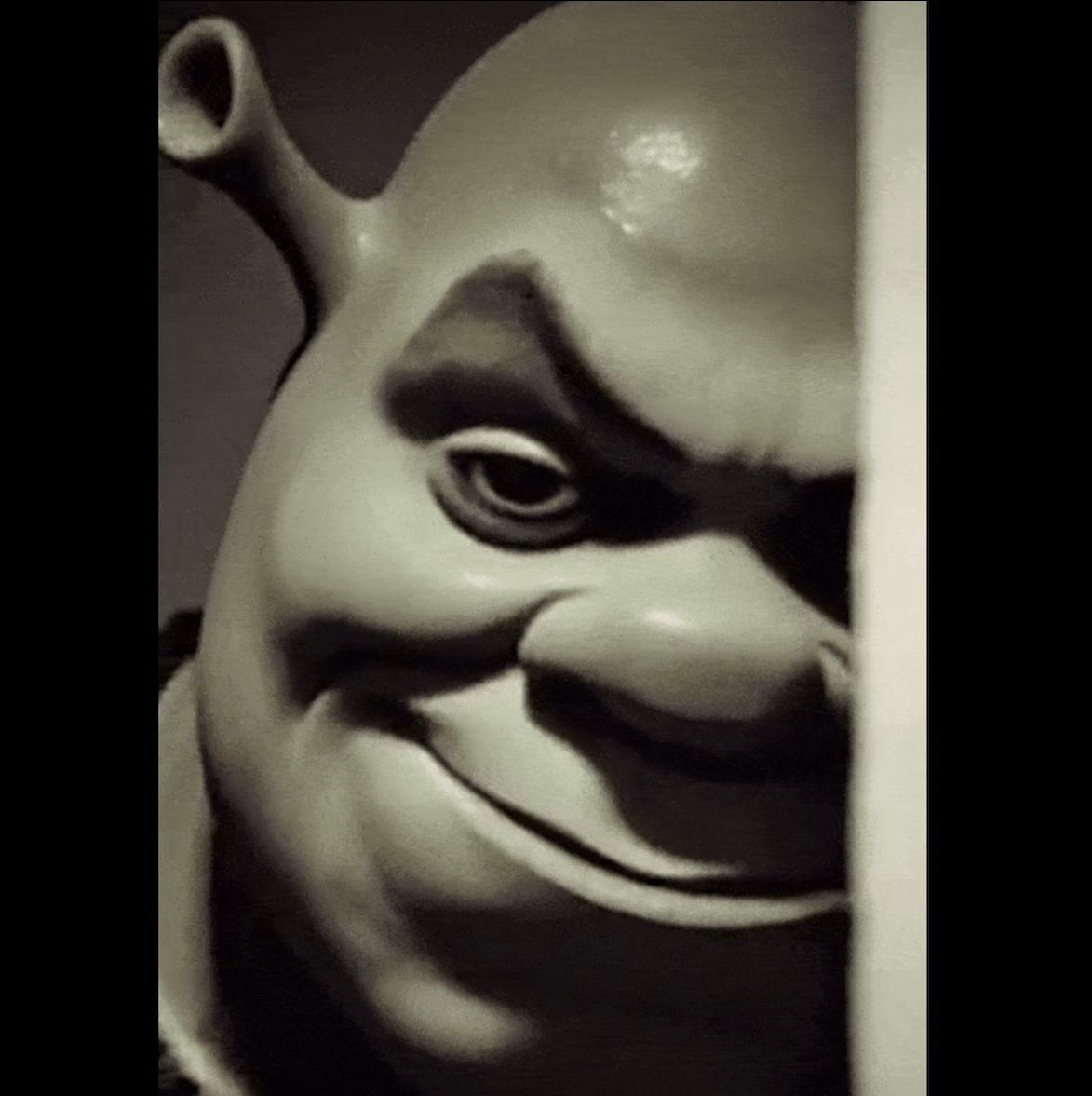 Menace Shrek 钱包