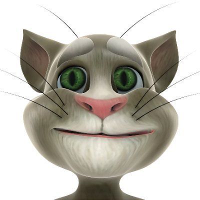TOM CAT