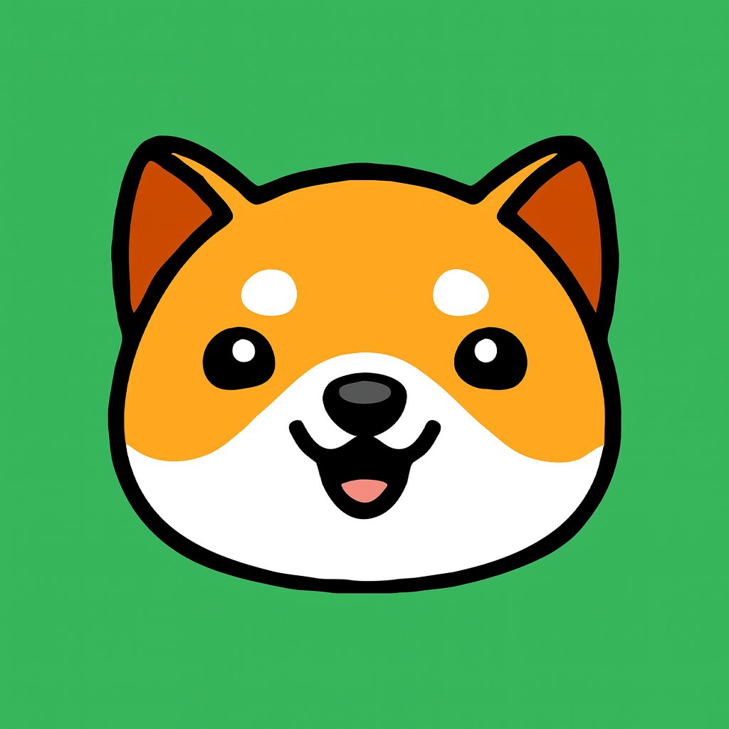 BabyDogeS token on Solana