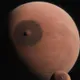 NIPTUNE