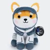 Asteroid The Space Shiba Inu