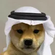 The habibi dog 钱包