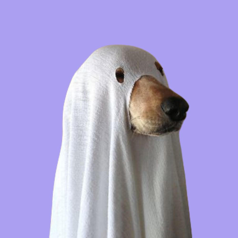 PHANTOM