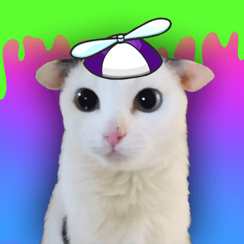 Meowtistic Cat