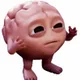 BRAIN