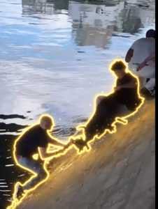 The Human Chain 钱包