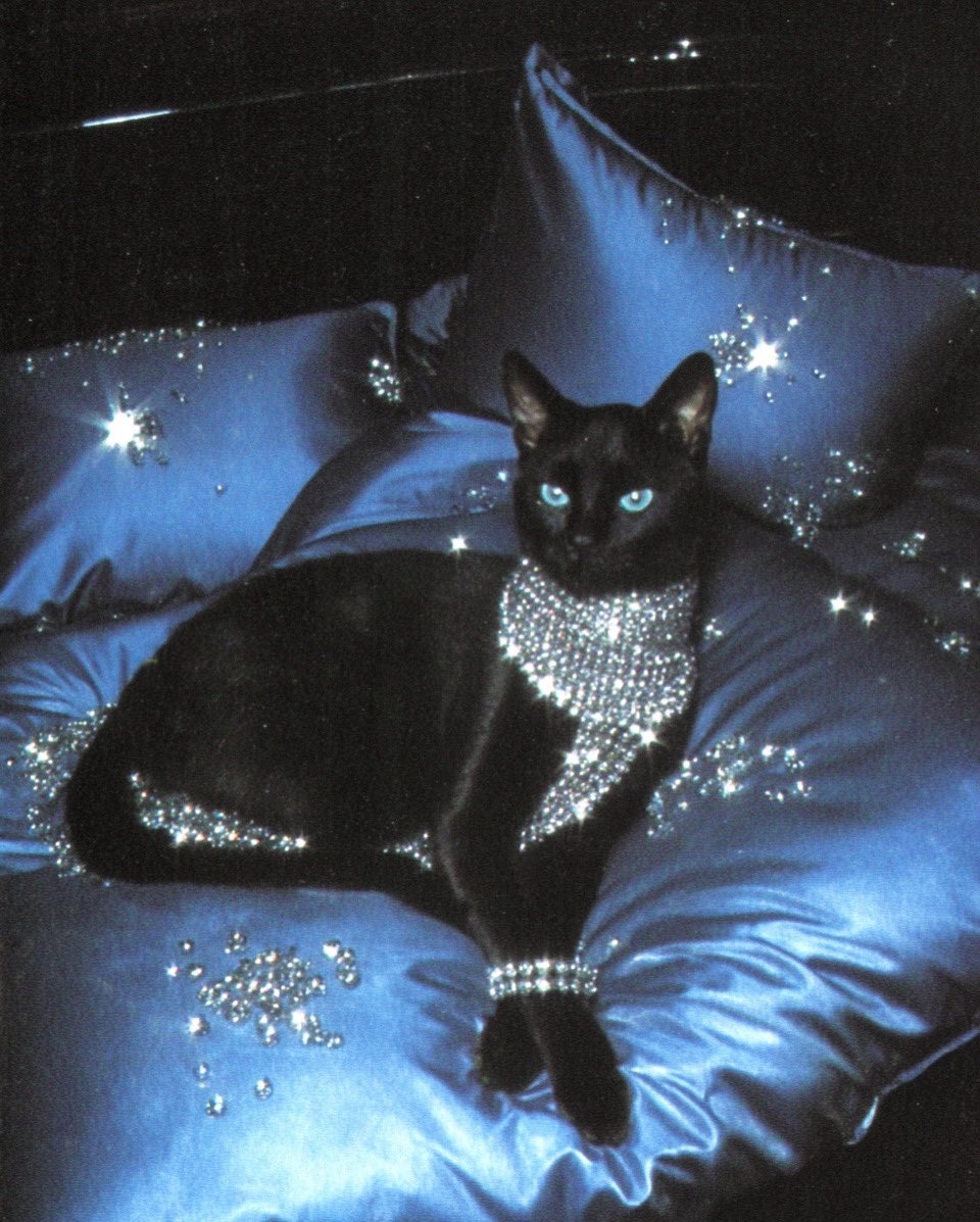 DIVA
