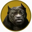 FLOYDOGE Wallet