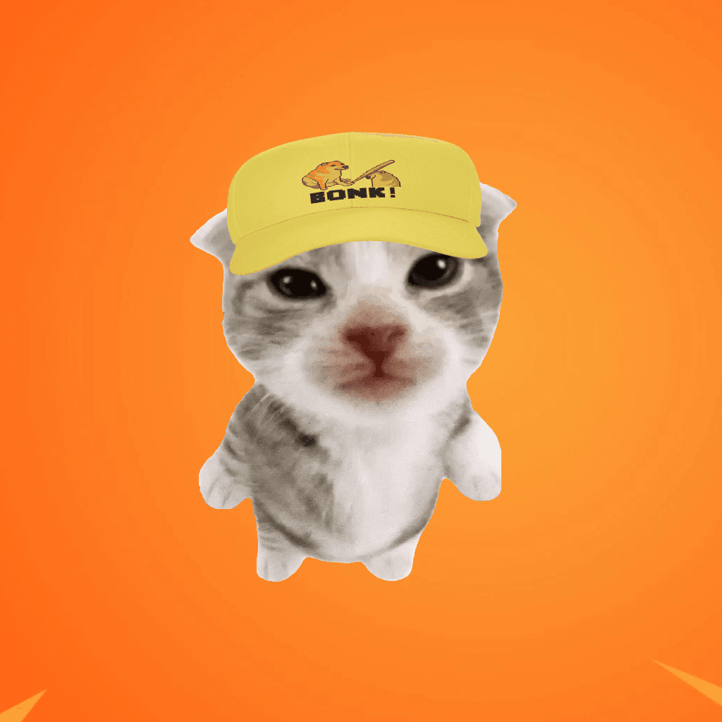 帽子猫