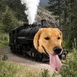 Portafoglio Dog-Headed Steam Train
