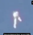 The Silver Surfer 钱包