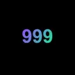 999 Wallet