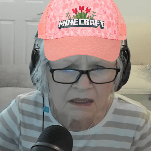 Minecraft Grandma Fund