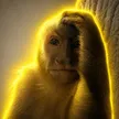 The Thinking Monkey 钱包