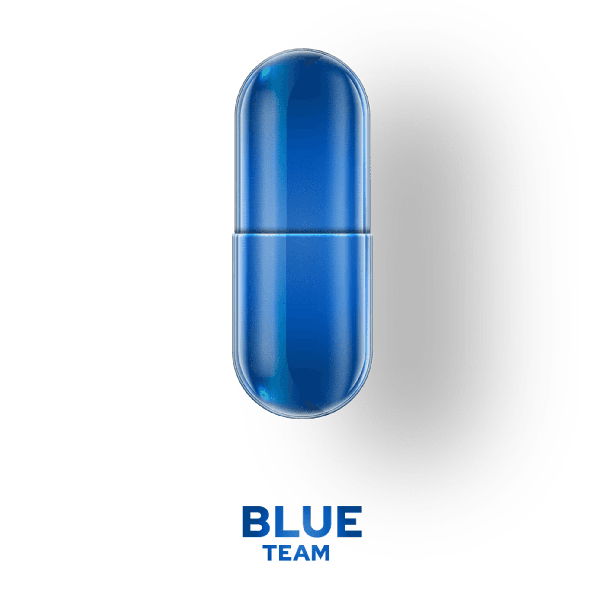 BLUETEAM