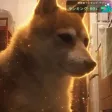 クリ丸 Wallet