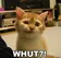 Whut?!