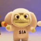 Siagmi token on Solana