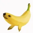 Sealanaウォレット
