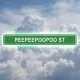 PPPP