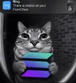 Motion-Wallet
