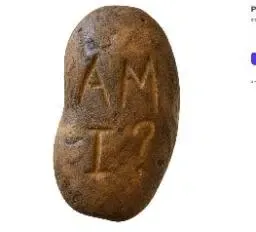 Potato 钱包