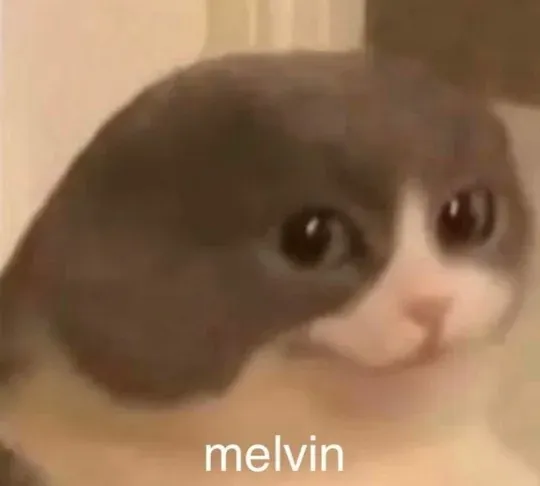 Melvin Cat