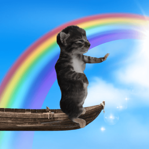 AURACAT
