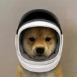 ‌Ví Spacedog