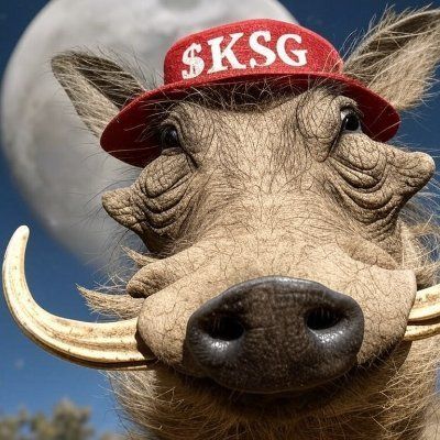 KSG