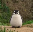 The Chubby Penguin Wallet