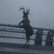 Billetera Pondering Deer