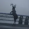 محفظة Pondering Deer