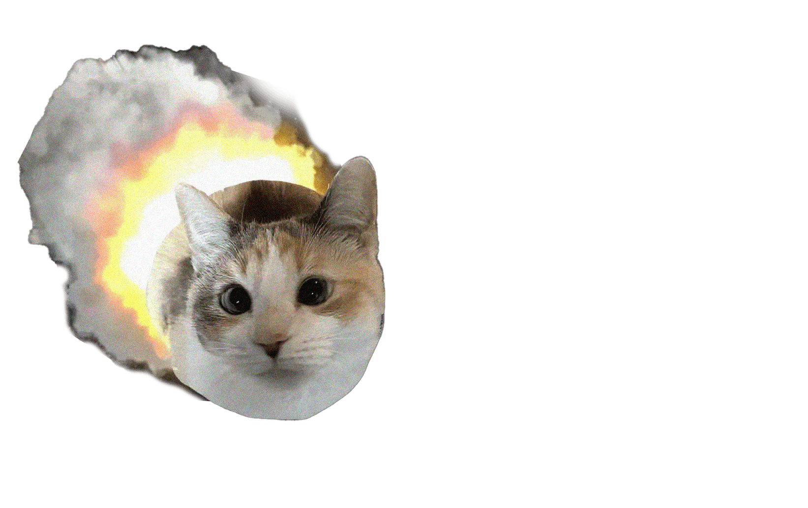 rocketcat token on Solana