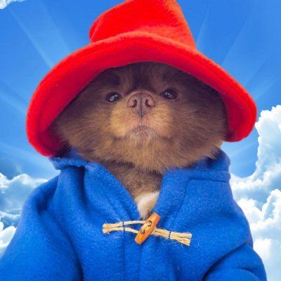 Bert token on Solana