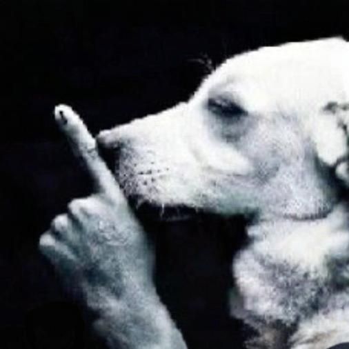 SHH
