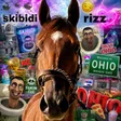 Skibidi Ohio Rizz Wallet
