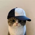 cap Wallet